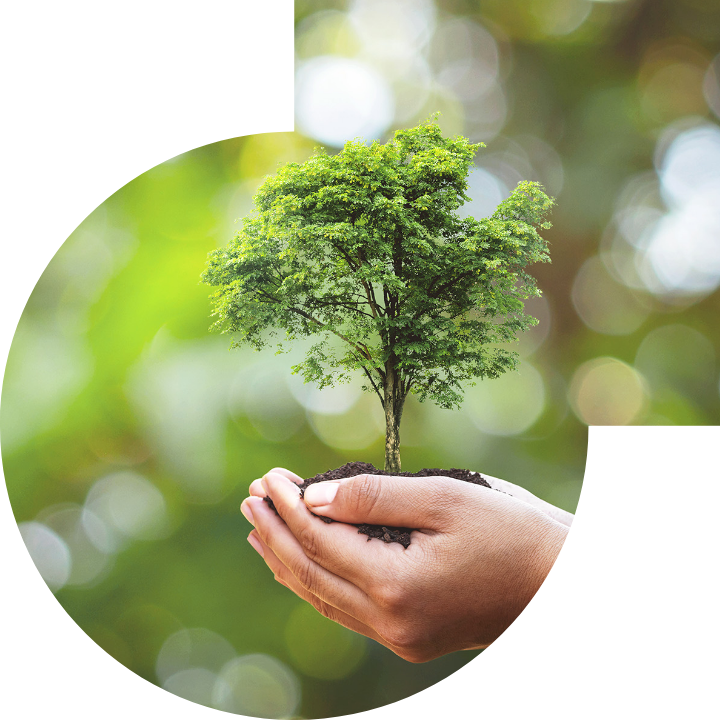 關懷人類、文化、環境與社會